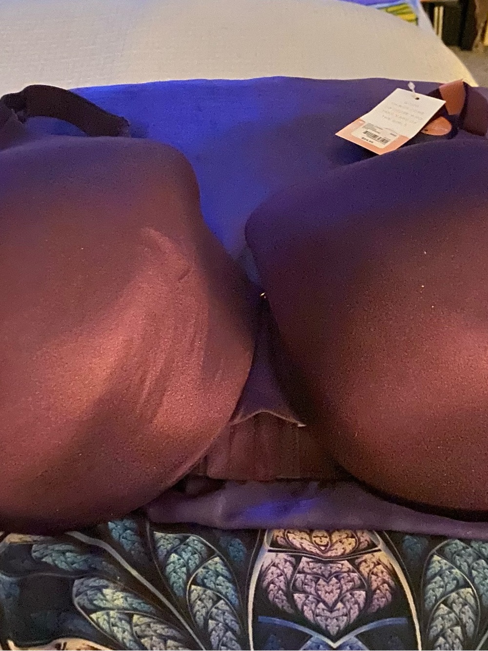Cacique Plum Smooth T-Shirt Bra